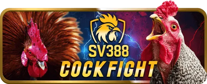 Đánh giá và khuyến nghị trò chơi sòng bạc phổ biến goal123 bet
